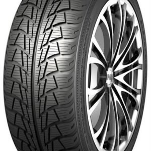 165/60R14 Nankang SV-1 XL Friktion