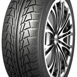 195/55R15 85H Nankang SV-1 Friktion
