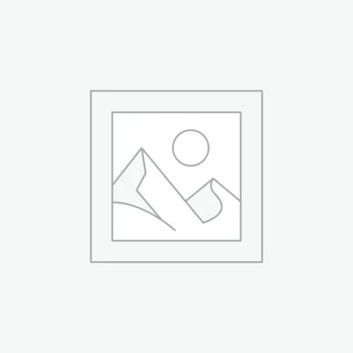 235/50R19C 111/109T Continental VanContact A/S Ultra 8PR